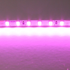 420512 Лента LIGHTSTAR LED 24V 12W 120leds/M 26-28 lm pink IP20 1шт = 5м